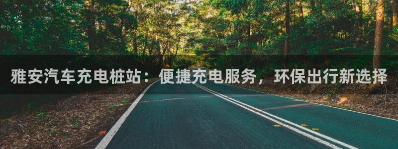 威廉体育官方app下载安装手机版：雅安汽车充电桩站：便捷充电服务，环保出行新选择