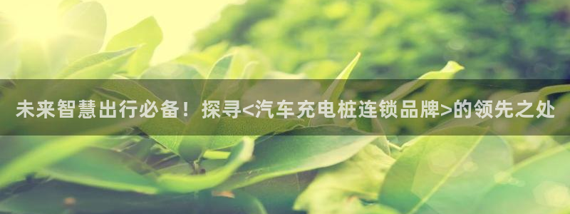 怎么看威廉希尔初盘：未来智慧出行必备！探寻<汽车充电桩连锁品牌>的领先之处