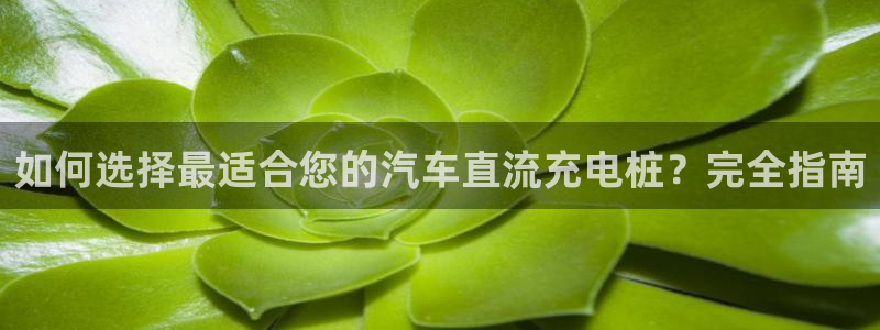 威廉娱乐2023官方版-3.26 Inurl:fayunsi：如何选择最适合您的汽车直流充电桩？完全指南