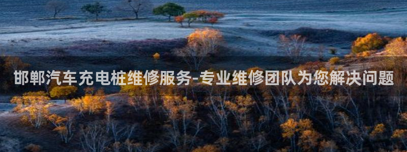 威廉希尔年销售总额：邯郸汽车充电桩维修服务-专业维修团队为您解决问题