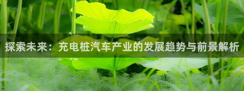 意甲的威廉希尔：探索未来：充电桩汽车产业的发展趋势与前景解析