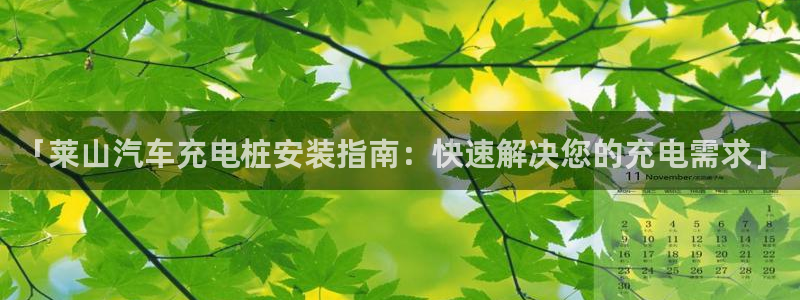 搜索威廉游戏主页：「莱山汽车充电桩安装指南：快速解决您的充电需求」
