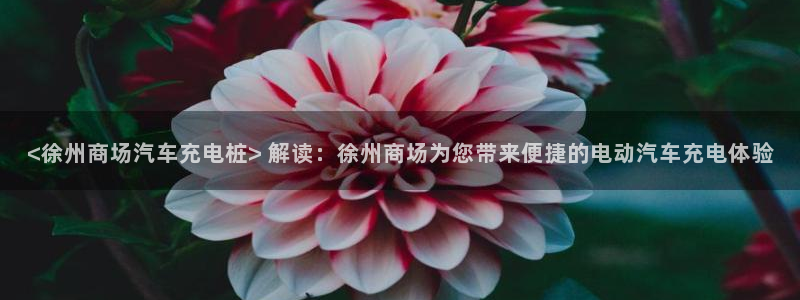 威廉希尔interwetten指数：<徐州商场汽车充电桩> 解读：徐州商场为您带来便捷的电动汽车充电体验
