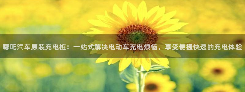 威廉希尔500篮球比分网：哪吒汽车原装充电桩：一站式解决电动车充电烦恼，享受便捷快速的充电体验