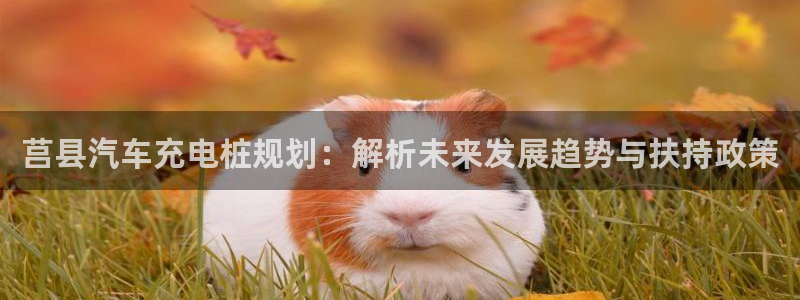 威廉网络科技有限公司：莒县汽车充电桩规划：解析未来发展趋势与扶持政策