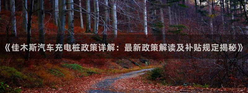 威廉希尔酒店集团董事长：《佳木斯汽车充电桩政策详解：最新政策解读及补贴规定揭秘》