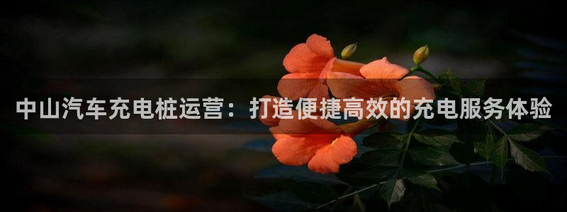 威廉希尔欧指和亚指区别：中山汽车充电桩运营：打造便捷高效的充电服务体验