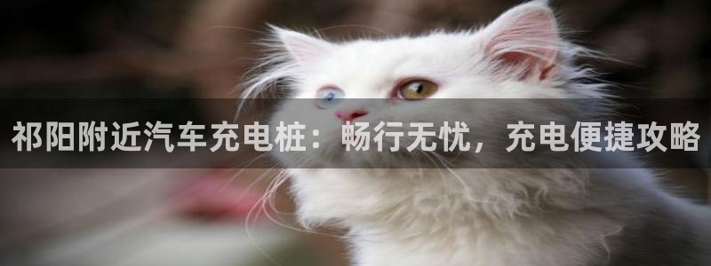 威廉体育官方app下载：祁阳附近汽车充电桩：畅行无忧，充电便捷攻略