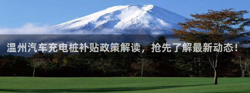 威廉希尔胜平负概率：温州汽车充电桩补贴政策解读，抢先了解最新动态！