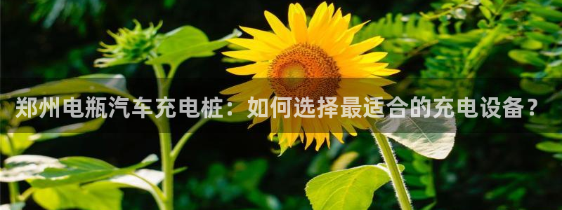 谁知道正规的威廉希尔公司：郑州电瓶汽车充电桩：如何选择最适合的充电设备？