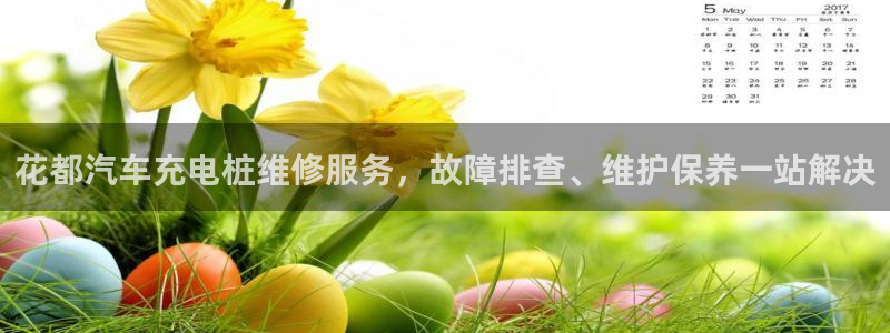 威廉官网入口：花都汽车充电桩维修服务，故障排查、维护保养一站解决