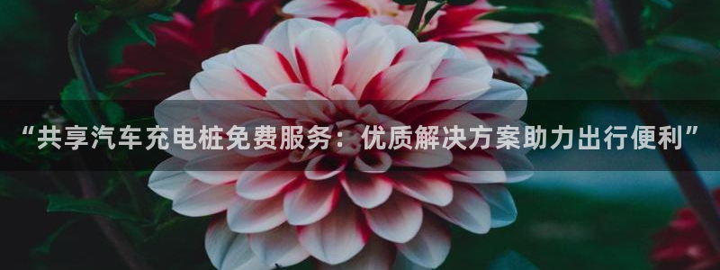威廉游戏直播：“共享汽车充电桩免费服务：优质解决方案助力出行便利”