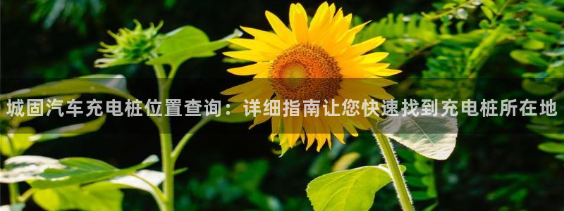 威廉希尔国内打开网址：城固汽车充电桩位置查询：详细指南让您快速找到充电桩所在地