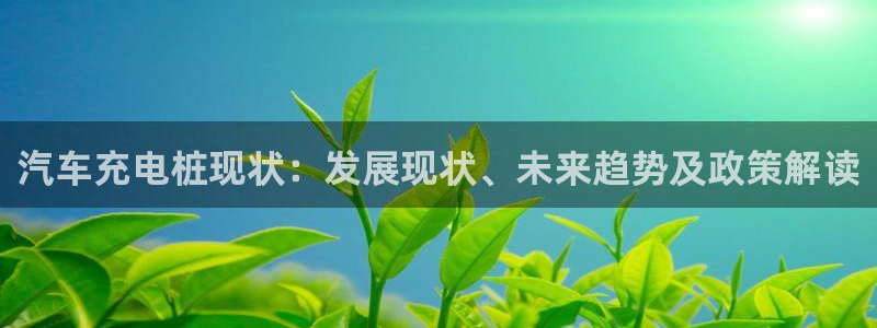 威廉国际公司：汽车充电桩现状：发展现状、未来趋势及政策解读