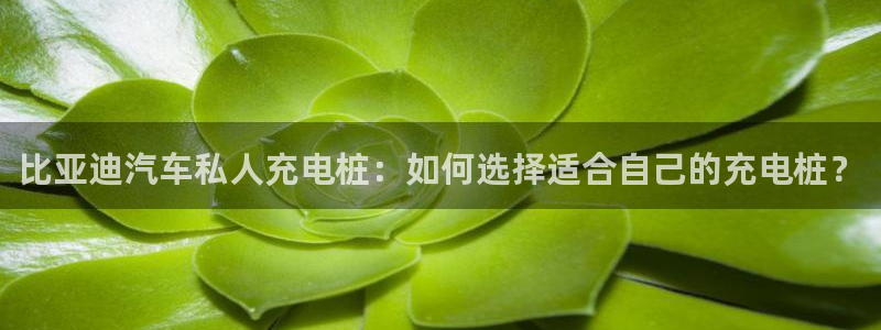 威廉指标什么意思：比亚迪汽车私人充电桩：如何选择适合自己的充电桩？