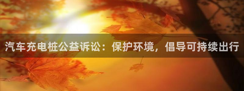 威廉希尔日职1.95是什么意思：汽车充电桩公益诉讼：保护环境，倡导可持续出行
