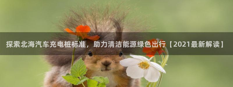 威廉希尔是什么水平的公司啊：探索北海汽车充电桩标准，助力清洁能源绿色出行【2021最新解读】