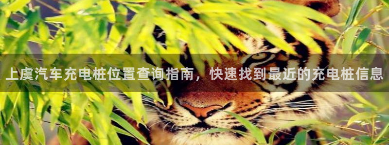 威廉足球软件下载安卓：上虞汽车充电桩位置查询指南，快速找到最近的充电桩信息