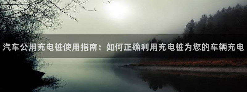 威廉希尔有限公司是国企吗：汽车公用充电桩使用指南：如何正确利用充电桩为您的车辆充电