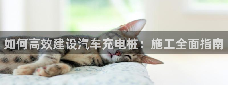 威廉希尔飞行员游戏：如何高效建设汽车充电桩：施工全面指南