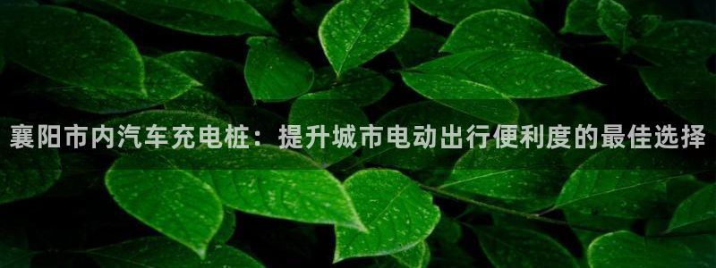 威廉网络科技有限公司：襄阳市内汽车充电桩：提升城市电动出行便利度的最佳选择