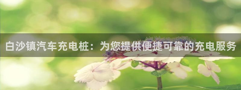威廉公司官网：白沙镇汽车充电桩：为您提供便捷可靠的充电服务