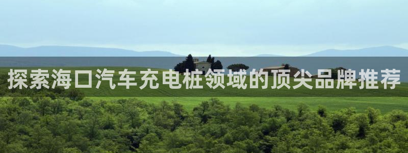 威廉希尔官网哪里有：探索海口汽车充电桩领域的顶尖品牌推荐