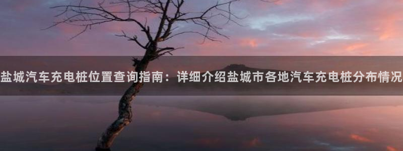 威廉希尔大小球判断方法：盐城汽车充电桩位置查询指南：详细介绍盐城市各地汽车充电桩分布情况