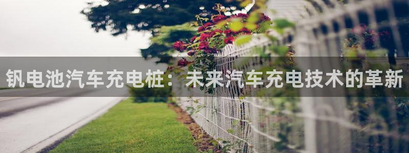 威廉希尔大小球初盘和即时盘：钒电池汽车充电桩：未来汽车充电技术的革新