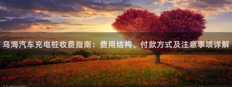 有没有威廉国际这个平台：乌海汽车充电桩收费指南：费用结构、付款方式及注意事项详解