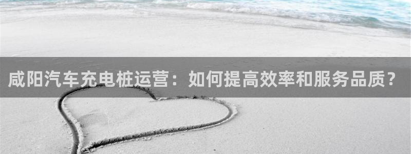 威廉澳门比较第三篇：咸阳汽车充电桩运营：如何提高效率和服务品质？