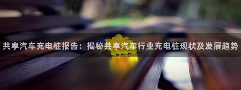 威廉希尔中国注册：共享汽车充电桩报告：揭秘共享汽车行业充电桩现状及发展趋势