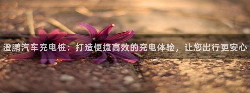 威廉港足球俱乐部：澄鹏汽车充电桩：打造便捷高效的充电体验，让您出行更安心