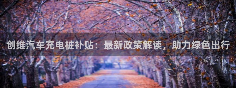 威廉希尔在中国怎么买东西：创维汽车充电桩补贴：最新政策解读，助力绿色出行