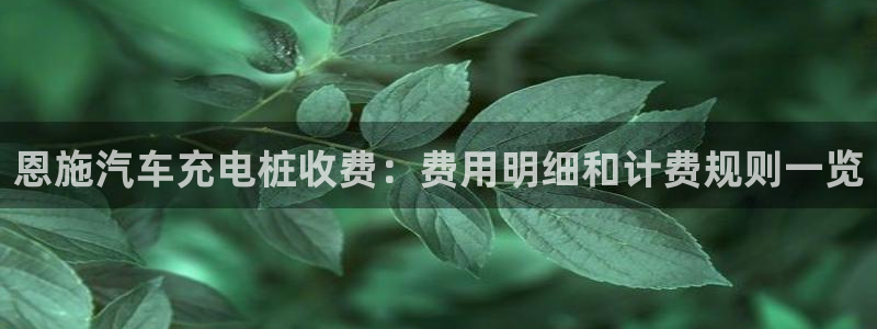 威廉希尔95体系：恩施汽车充电桩收费：费用明细和计费规则一览