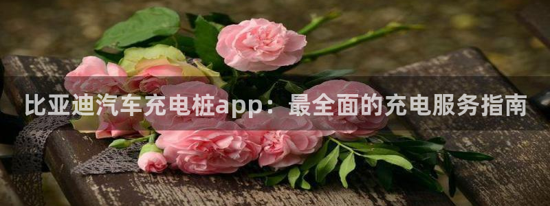 威廉希尔与立博技巧：比亚迪汽车充电桩app：最全面的充电服务指南