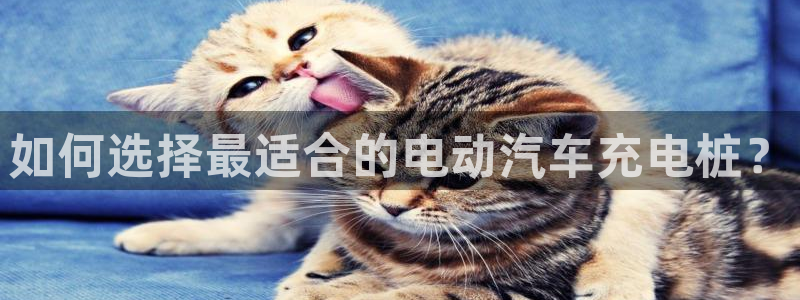 威廉希尔是哪国的平台：如何选择最适合的电动汽车充电桩？