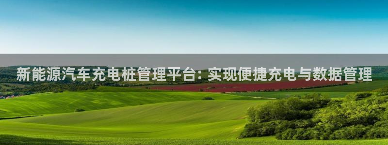 威廉希尔公司官方网站app：新能源汽车充电桩管理平台: 实现便捷充电与数据管理