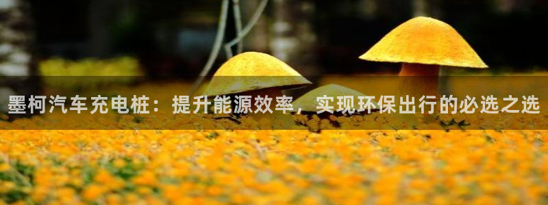威廉希尔股价：墨柯汽车充电桩：提升能源效率，实现环保出行的必选之选