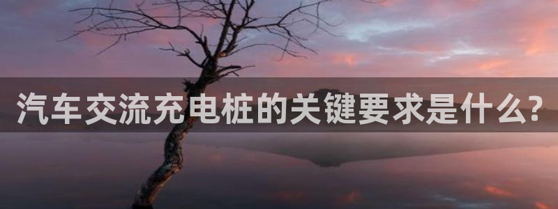 威廉足球软件下载：汽车交流充电桩的关键要求是什么?