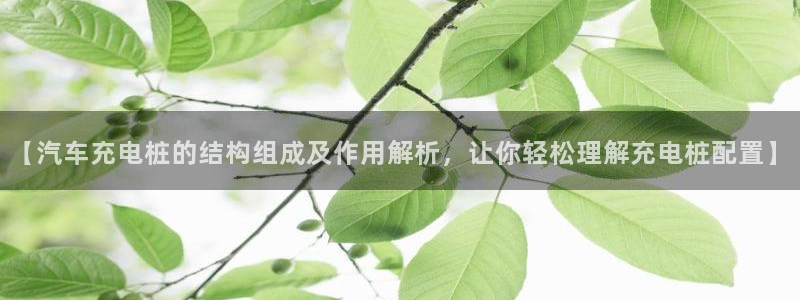 威廉足球软件下载：【汽车充电桩的结构组成及作用解析，让你轻松理解充电桩配置】