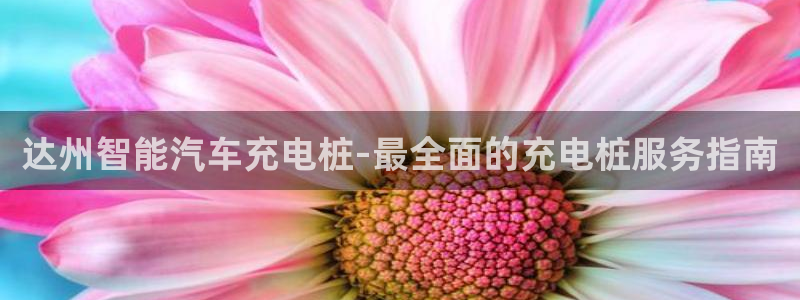 威廉希尔进球数的开盘特点：达州智能汽车充电桩-最全面的充电桩服务指南