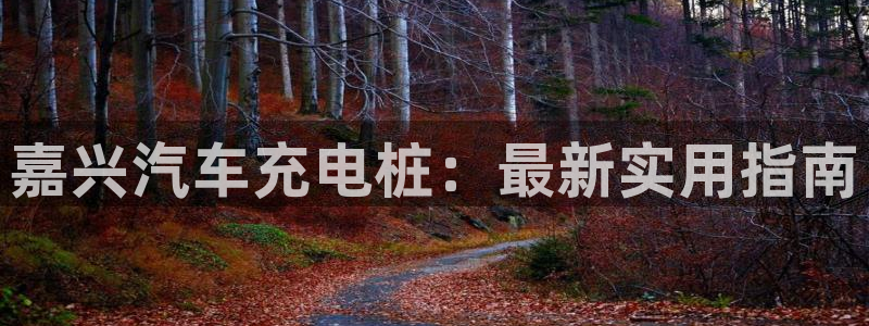 威廉希尔的分析方法2：嘉兴汽车充电桩：最新实用指南