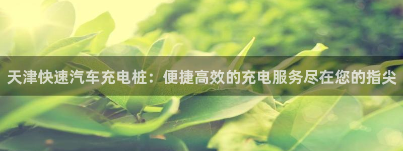威廉希尔操盘手：天津快速汽车充电桩：便捷高效的充电服务尽在您的指尖