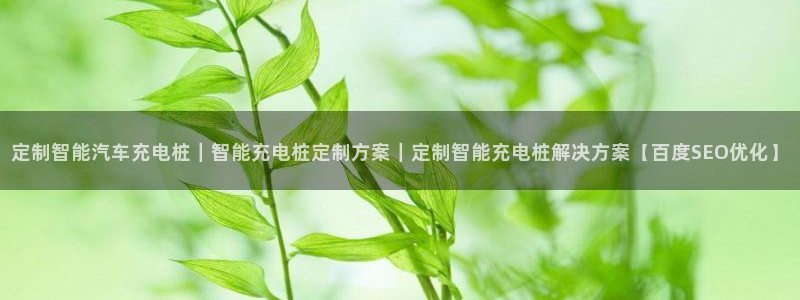 如何看威廉希尔：定制智能汽车充电桩｜智能充电桩定制方案｜定制智能充电桩解决方案【百度SEO优化】