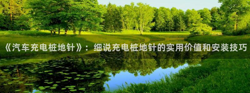 威廉希尔平台不让提现：《汽车充电桩地针》：细说充电桩地针的实用价值和安装技巧