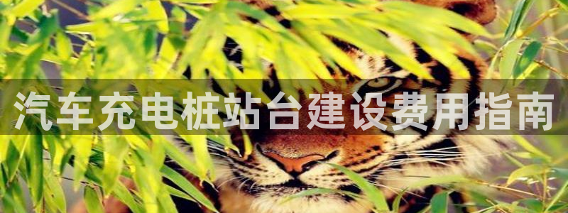 英国威廉希尔官网：汽车充电桩站台建设费用指南