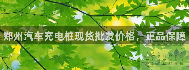 威廉希尔是什么水平的公司啊：郑州汽车充电桩现货批发价格，正品保障