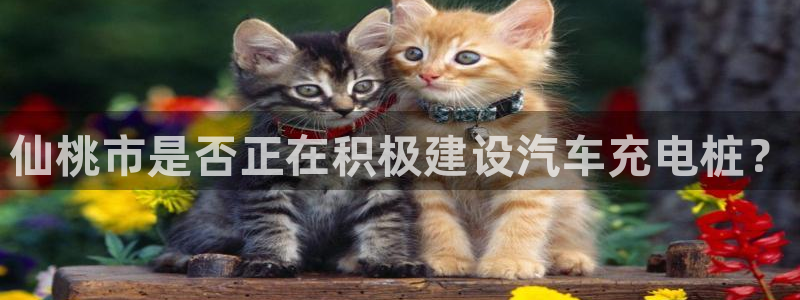 威廉希尔账号有人要吗：仙桃市是否正在积极建设汽车充电桩？