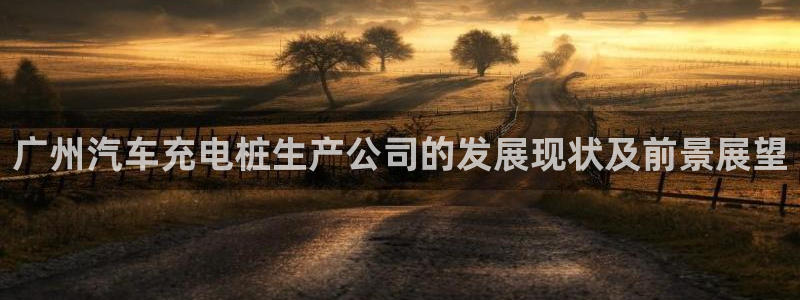 威廉希尔官网中威廉希尔官网中文：广州汽车充电桩生产公司的发展现状及前景展望